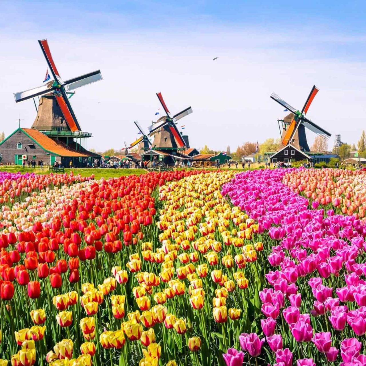 https://2host.app/wp-content/uploads/2018/09/destination-netherlands-01-1280x1280.jpg