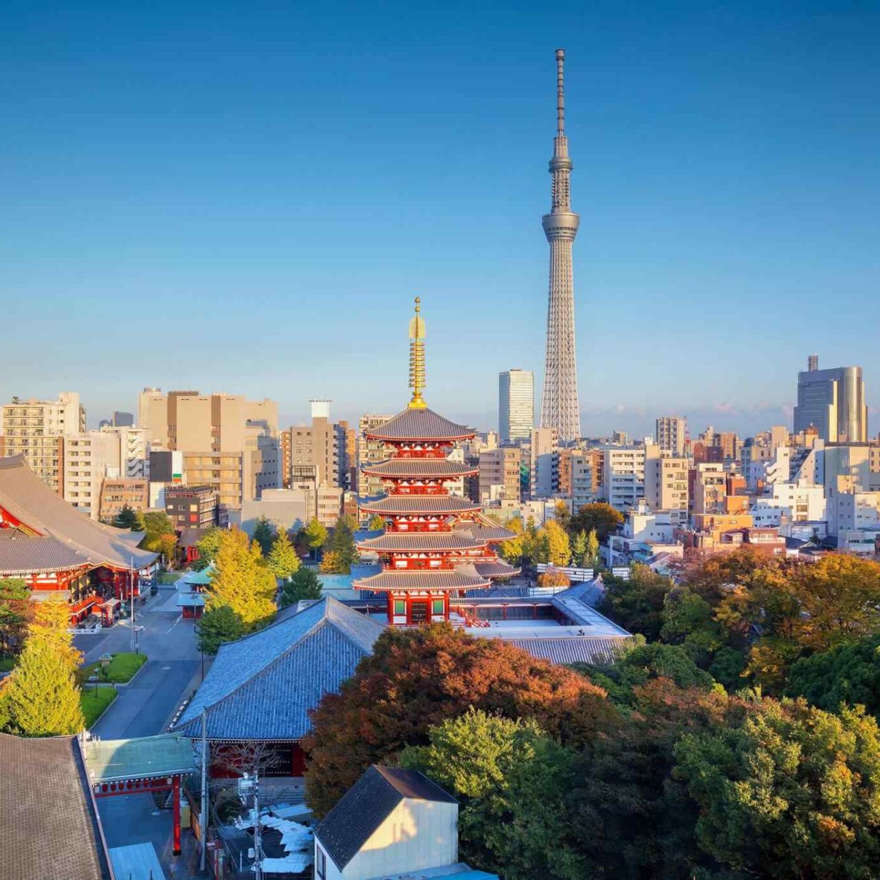 https://2host.app/wp-content/uploads/2018/09/destination-tokyo-04-1280x1280.jpg